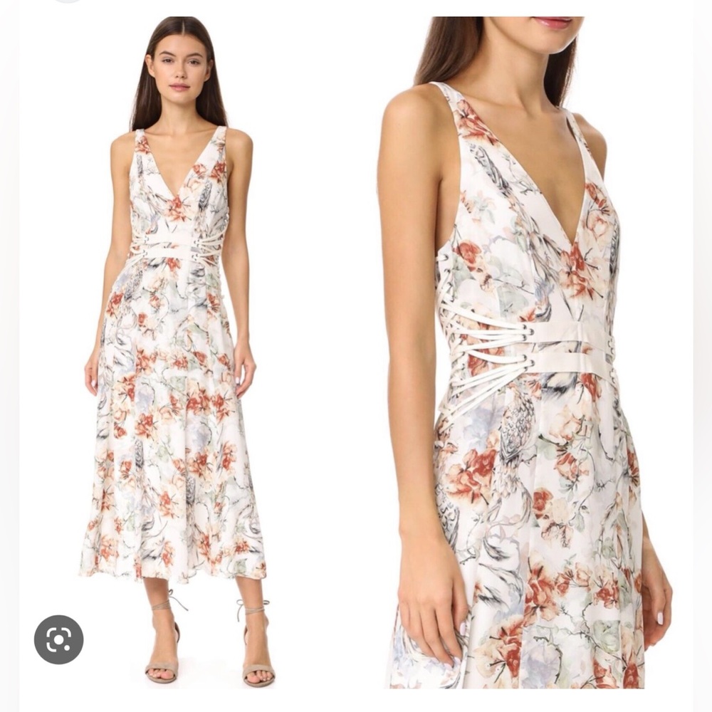 Haute Hippie Helipolis Maxi Dress